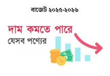 বাজেটে স্বস্তির খবর: দাম কমতে পারে যেসব পণ্য